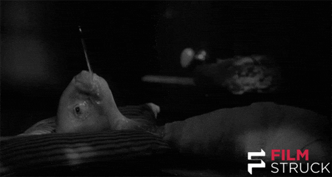David Lynch Sleeping GIF by FilmStruck