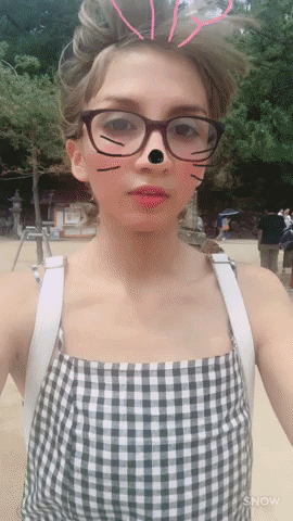 miyajimaa GIF