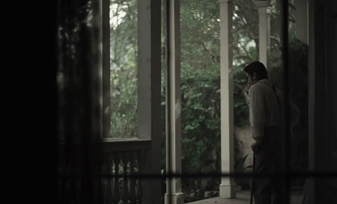 Sofia Coppola GIF by The Beguiled - Find & Share on GIPHY Sofia Coppola GIF by The Beguiled - Find & Share on GIPHY