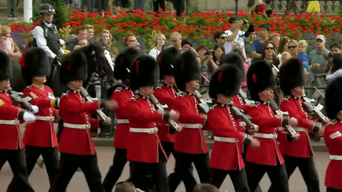 Image result for london guard gif