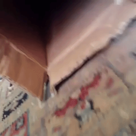 Смешные гифки, с абсолютно непредсказуемым финалом, которого вы точно не ожидаете непредсказуемые гифки, гифки с неожиданным финалом, видео с неожиданным финалом, непредсказуемое видео