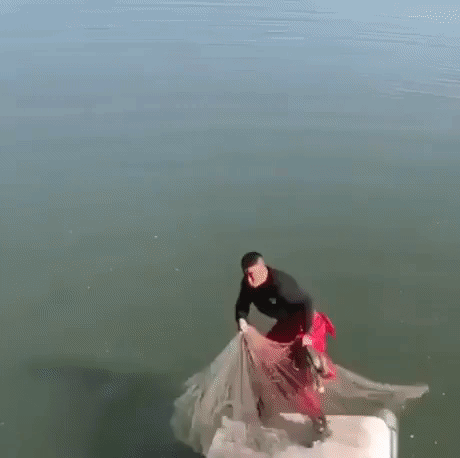 Casting A Big Net in funny gifs