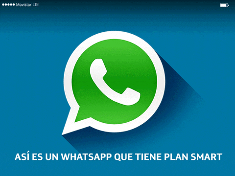 whatsapp business nedir gif