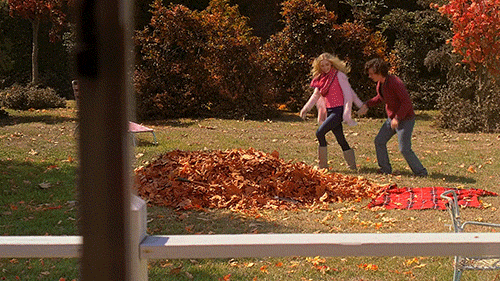 Happy Fall GIFs - Find & Share on GIPHY
