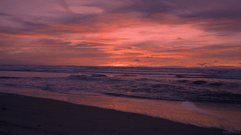 Beach Sunset GIF by Living Stills - Find & Share on GIPHY