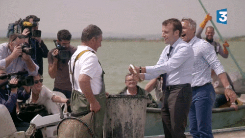 Emmanuel Macron Wtf GIF by franceinfo