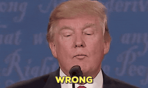 giphy.gif?cid=790b7611c80a19e742e83b23f0