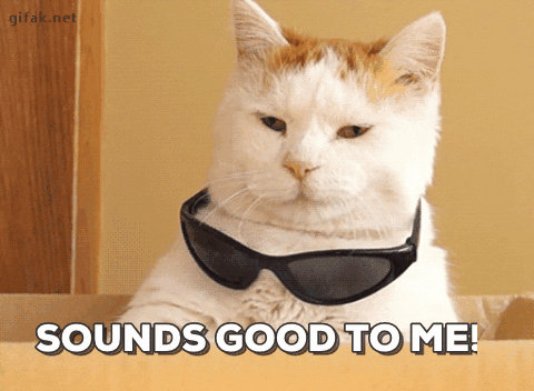 gato colocando um óculos escuros com a frase em inglês "isso soa bom para mim"