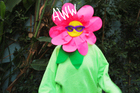 Person in a flower costume with sunglasses excitedly pumps fists as rainbows and stars fly into the sky and screen reads Aww yeah! 