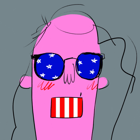 America Voting GIF by nikki desautelle