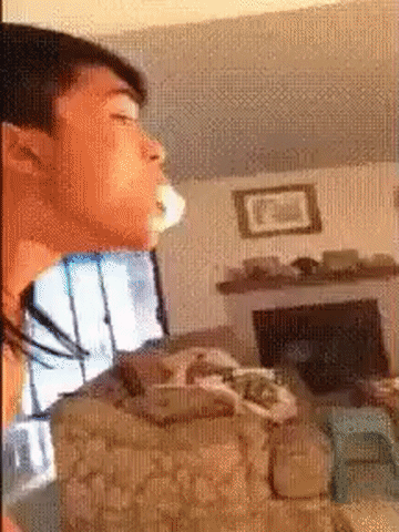 giphy.gif