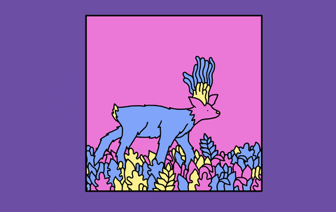 Music Video Lol GIF by Evan M Cohen