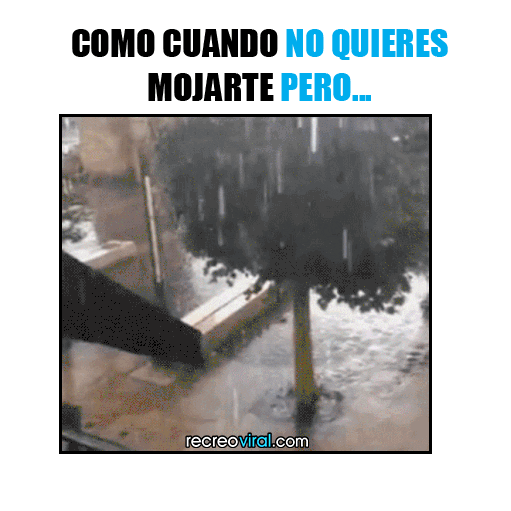 imagenes gif,imagenes graciosas, las mejores imagenes, imagenes graciosas, chistes, risas