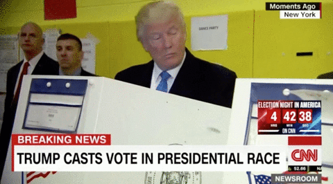 Voting Donald Trump GIF - Find & Share on GIPHY