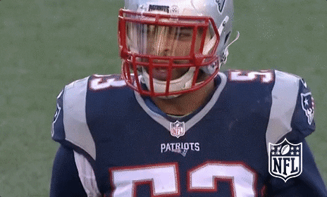 Hungry New England Patriots GIF by NFL - Find & Share on GIPHY