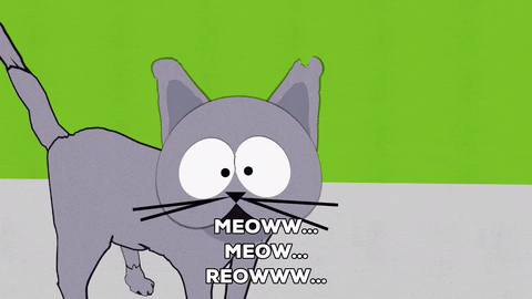 gray cartoon cat meme