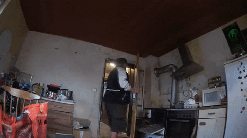 giphy.gif