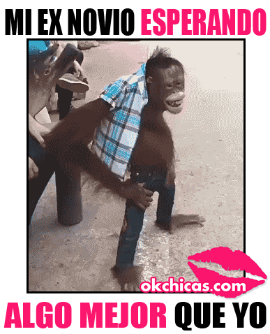 imagenes gif,imagenes graciosas, las mejores imagenes, imagenes graciosas, chistes, risas