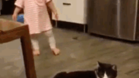 Kitty the Culprit best Gif