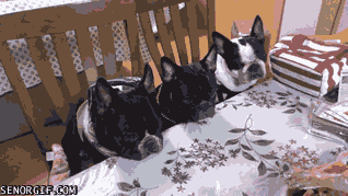 food friend gets wait while