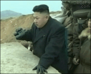 The Interview Usa GIF