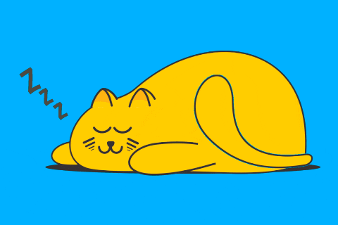Cat Sleeping GIF by Omer - Find & Share on GIPHY