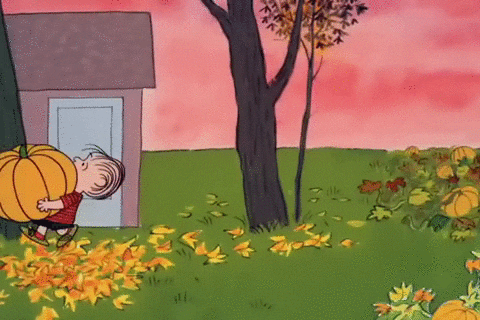 Its The Great Pumpkin Charlie Brown Peanuts GIF by REBEKAH
