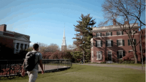 Harvard University college student harvard harvard yard