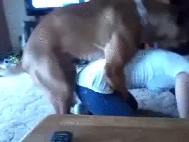 Sexual dry humping on boner gifs very pity Sexual dry humping on boner gifs sorry