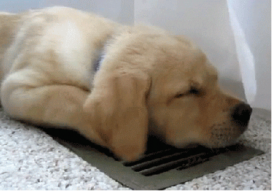 no air conditioning in Texas prison