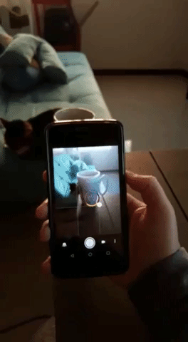 GIF de uma pessoa tirando foto com celular.