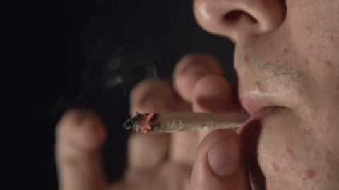 giphy Five (Legit) Reasons Why Weed Is Good For You