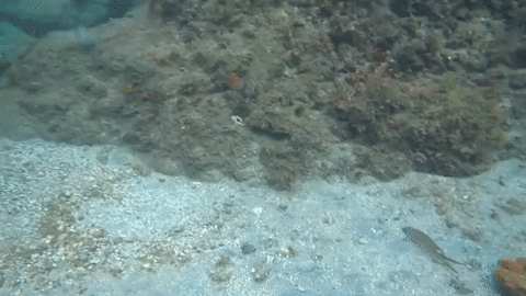 Sorry Didnt GIF - Find & Share on GIPHY