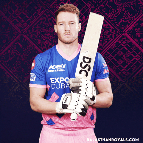 David Ipl GIF by Rajasthan Royals