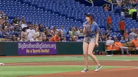 Tampa Bay Rays Celebs GIF - Find & Share on GIPHY