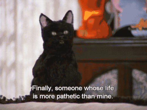 Giphy Savage Salem *inserts fire emoji*