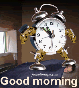 morning