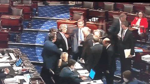 Ted Cruz and Senate Republicans fist bump after blocking veterans bill.