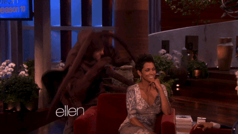 Ellen Degeneres Spiders GIF