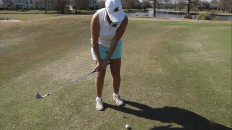 Golf Wave GIF by GreenWave Find Share on GIPHY