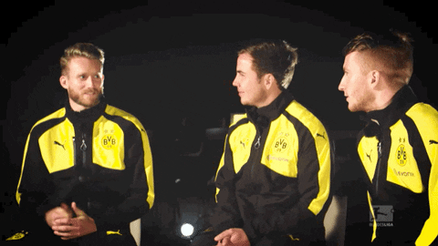 Borussia Dortmund GIF by Bundesliga