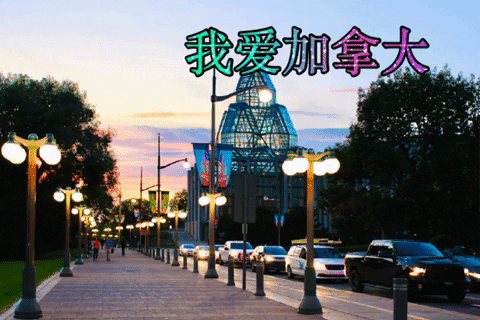 Chris TDL China 中国 GIF