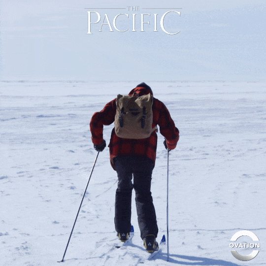 Ski Fails GIFs Find & Share on GIPHY