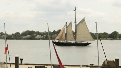 Virginia Ship