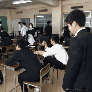 giphy.gif