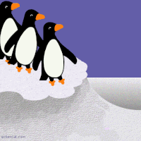 Penguin GIF - Find & Share on GIPHY