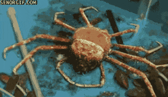 Stuff GIF - Find & Share on GIPHY