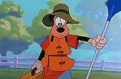 A GIF or MEME to give some spice of the internet