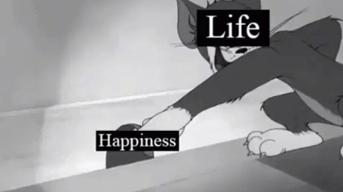 Me Life And Happiness
