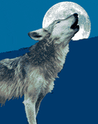 Afbeeldingsresultaat voor howling wolf gif